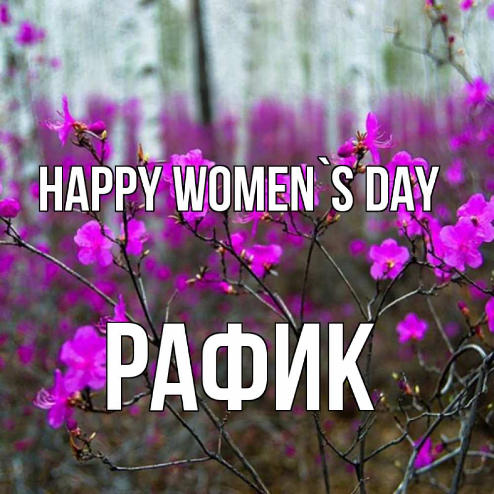 Greetings card с именем, РАФИК happy women`s day дикие цветы Greetings with text for free download 